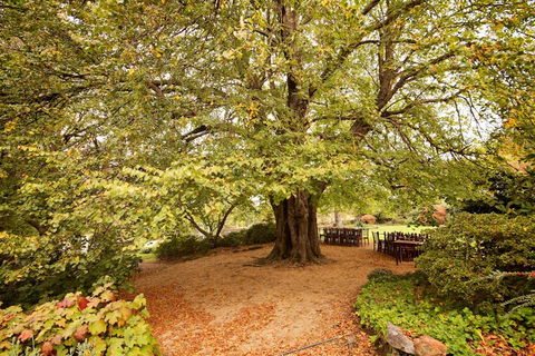 Nesuto Leura Gardens (formerly Waldorf Leura Gardens Resort) - Accommodation Broadbeach 1