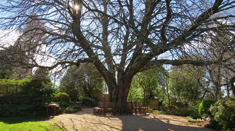 Nesuto Leura Gardens (formerly Waldorf Leura Gardens Resort) - Accommodation Broadbeach 3