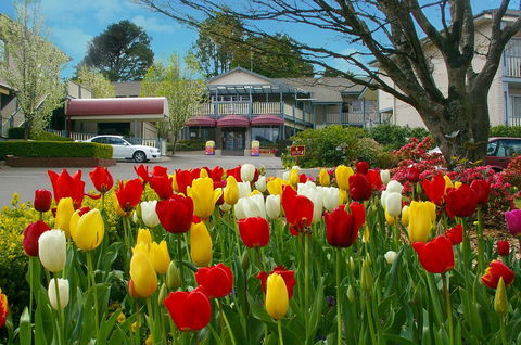 Nesuto Leura Gardens (formerly Waldorf Leura Gardens Resort) - Accommodation Broadbeach 0