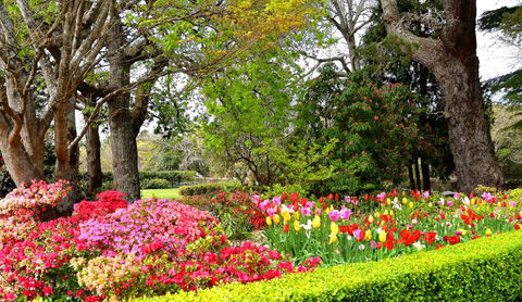 Nesuto Leura Gardens (formerly Waldorf Leura Gardens Resort) - Accommodation Broadbeach 8