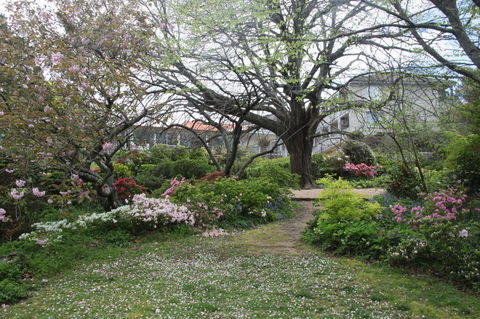 Nesuto Leura Gardens (formerly Waldorf Leura Gardens Resort) - Accommodation Broadbeach 4