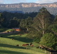 Amaroo Valley Springs - Accommodation Broadbeach