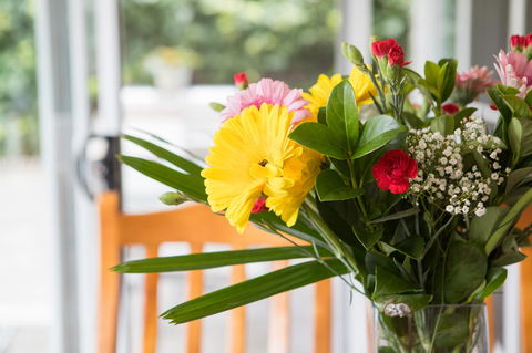 Armidale Cottage - House 2 - Accommodation Broadbeach 12