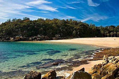 Oversized 2 Bedroom Manly Beach House - Accommodation Broadbeach 10