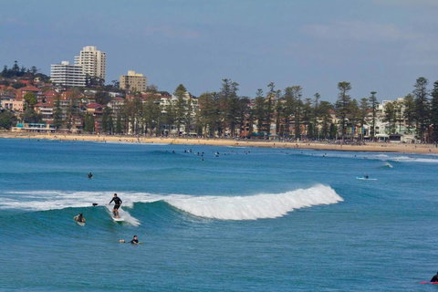 Oversized 2 Bedroom Manly Beach House - Accommodation Broadbeach 13