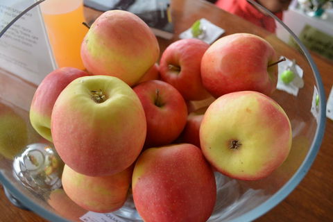 The Apple Inn - Accommodation Broadbeach 12