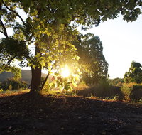 Clarendon Forest Retreat - Accommodation Broadbeach