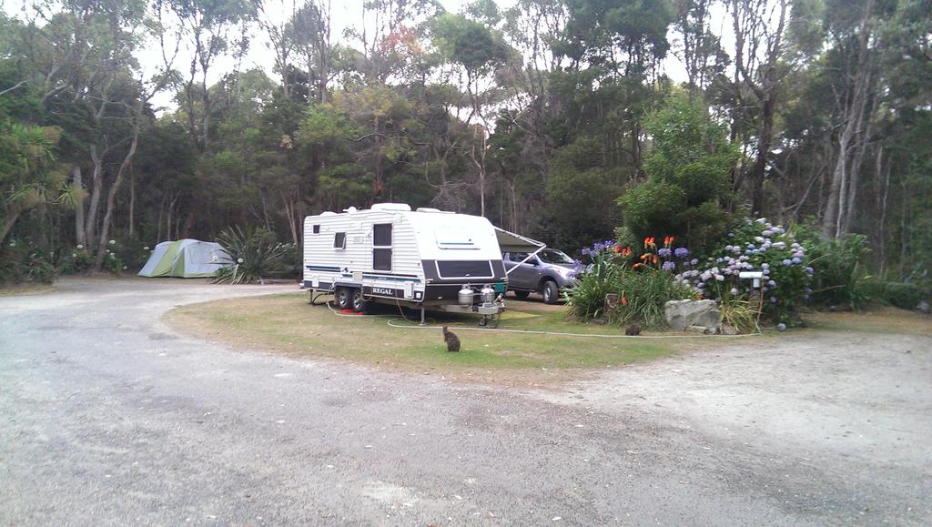 Crayfish Creek TAS Accommodation Broadbeach
