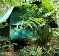 Daintree Crocodylus - Accommodation Broadbeach