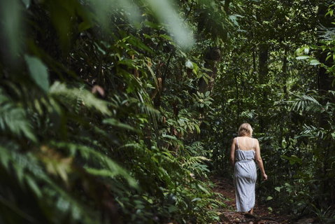 Daintree Ecolodge - Accommodation Broadbeach 2