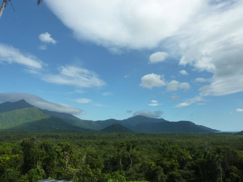 Daintree Holiday Homes - La Vista - Accommodation Broadbeach 3