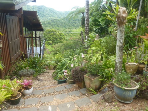 Daintree Holiday Homes - The Folly - Accommodation Broadbeach 0