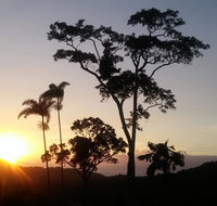Daintree Holiday Homes - Yurara - Accommodation Broadbeach