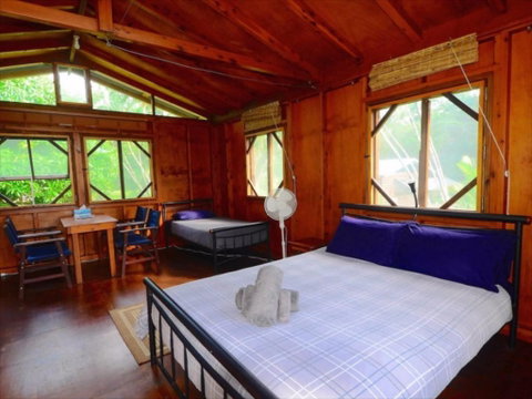 Daintree Rainforest Bungalows - Accommodation Broadbeach 2