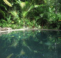 Daintree Rainforest Retreat Motel - Accommodation Broadbeach
