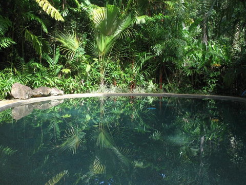 Daintree Rainforest Retreat Motel - Accommodation Broadbeach 0