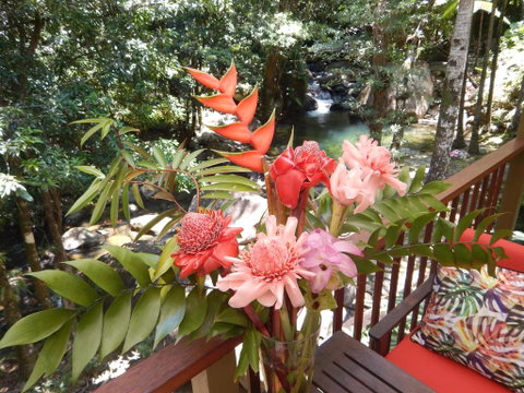 Daintree Secrets Rainforest Sanctuary - Accommodation Broadbeach 1