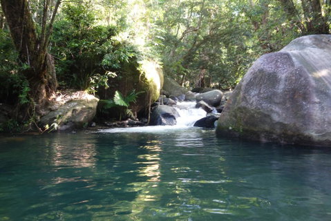 Daintree Secrets Rainforest Sanctuary - Accommodation Broadbeach 0