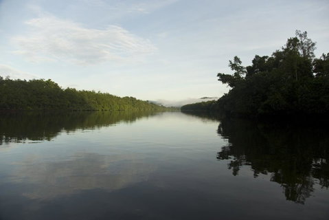 Daintree Village Hideaway - Accommodation Broadbeach 2
