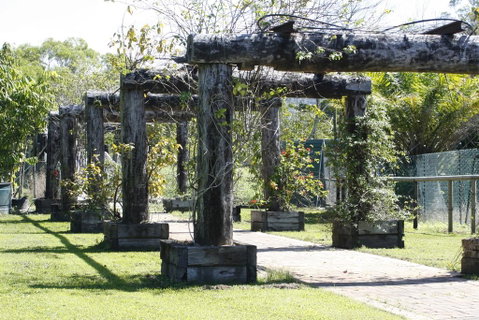 Daintree Wild Bed & Breakfast - Accommodation Broadbeach 2