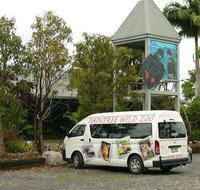 Daintree Wild Bed  Breakfast - Accommodation Broadbeach