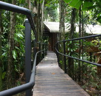 Daintree Wilderness Lodge - Accommodation Broadbeach