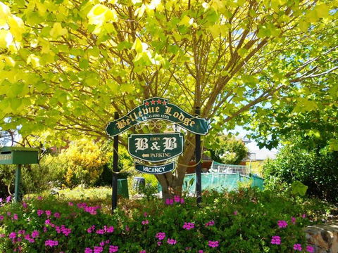 Eden Bed & Breakfast - Accommodation Broadbeach 0