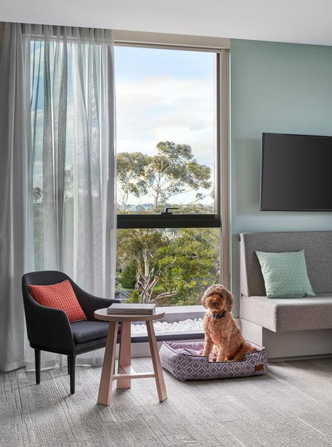 Element Melbourne Richmond - Accommodation Broadbeach 3