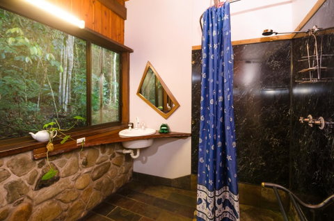 Epiphyte B & B - Accommodation Broadbeach 1