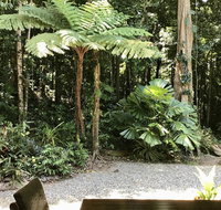 Forest Views Daintree - Accommodation Broadbeach