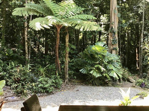 Forest Views Daintree - Accommodation Broadbeach 0