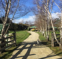Green Gables BB - Accommodation Broadbeach