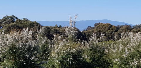 Hideaway Valley Farm - Accommodation Broadbeach 1