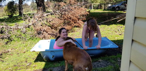 Hideaway Valley Farm - Accommodation Broadbeach 3