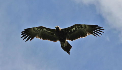 Highwood Park B&B Guest Lodge - Accommodation Broadbeach 3