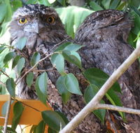 Karma Cottage - Accommodation Broadbeach