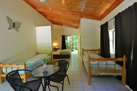 Lync Haven Rainforest Retreat - Accommodation Broadbeach 2