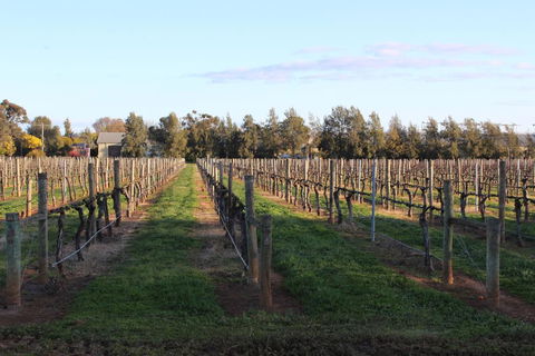 Milawa Vineyard Views - Guesthouse 1 - Accommodation Broadbeach 1
