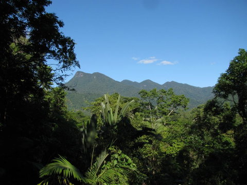 Mossman Gorge Bed And Breakfast - Accommodation Broadbeach 0