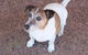 Jacaranda Hideaway Bed & Breakfast - thumb 13