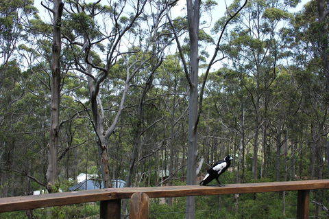 Ark Of Denmark - Accommodation Broadbeach 11