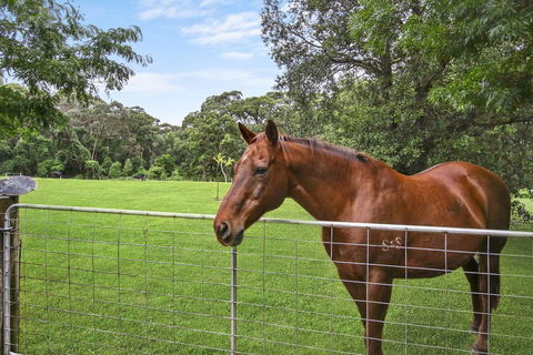 NUNGAROO COTTAGE - Accommodation Broadbeach 3