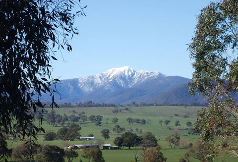 Off Mountain Accommodation - Accommodation Broadbeach 0