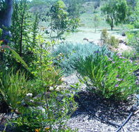 Old Miners' Cottages Bed and Breakfast - Accommodation Broadbeach
