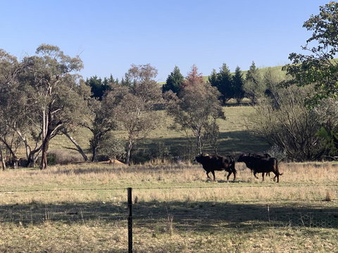 OConnell Retreat BnB - Accommodation Broadbeach 1