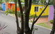 Palm Beach Caravan Park - thumb 2