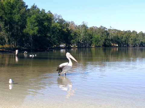 Paradise Bungalow Waterfront - Accommodation Broadbeach 2