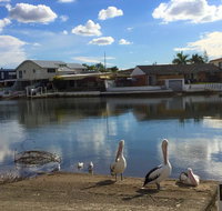 Pelican Cove Apartments - Accommodation Broadbeach