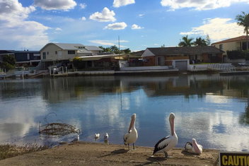 Pelican Cove Apartments with Accommodation Broadbeach