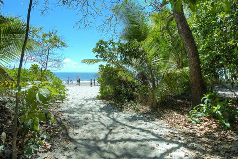 Plantation 2 - Absolute Beachfront - Accommodation Broadbeach 1